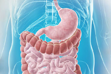 Gastroenterology symptoms