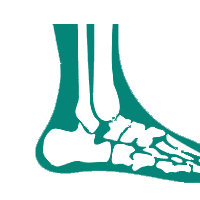 Foot & Ankle icon
